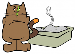 6 วิธีกำจัดกลิ่นขี้แมว ช่วยสร้างบรรยากาศให้บ้านน่าอยู่ได้มากยิ่งขึ้น