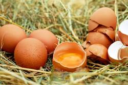 5 คุณ ประโยชน์ของเปลือกไข่ ทำอะไรได้มหัศจรรย์กว่าที่คุณคิด!