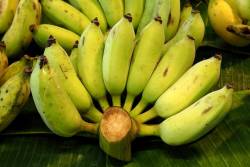 7 คุณ ประโยชน์ของกล้วยน้ำว้า ผลไม้มากไปด้วยสรรพคุณ มีฤทธิ์เป็นยา