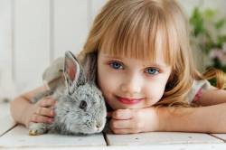 รวม 7 เรื่องที่คุณอาจจะเข้าใจผิดเกี่ยวกับ “กระต่าย” เช็คเลยว่ามีเรื่องไหนบ้าง?