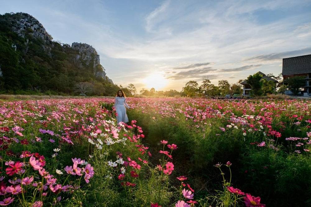 8 สวนดอกไม้ใกล้กรุงเทพ สถานที่เที่ยวถ่ายรูปสวย ที่สาวหวานห้ามพลาด