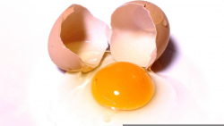 5 สูตรแก้ปัญหา ผมเสีย ทำได้ด้วยไข่ไก่ วิธีง่าย ๆ ที่หลายคนไม่เคยรู้มาก่อน!