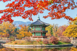 เที่ยวเกาหลี พระราชวังเคียงบกกุง (Gyeongbokgung Palace) พระราชวังใหญ่ที่สุด